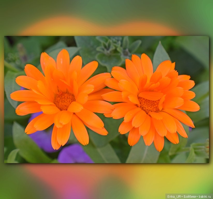 Сопутствующее куклам увлечение. 19.07.2019 (фото 6)