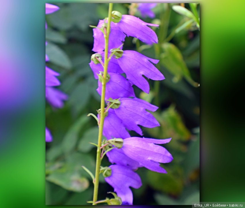 Сопутствующее куклам увлечение. 19.07.2019 (фото 5)