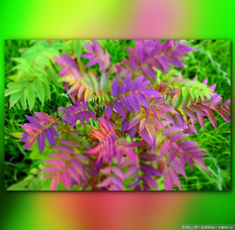 Сопутствующее куклам увлечение. 19.07.2019