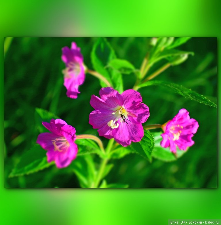 Сопутствующее куклам увлечение. 19.07.2019 (фото 10)