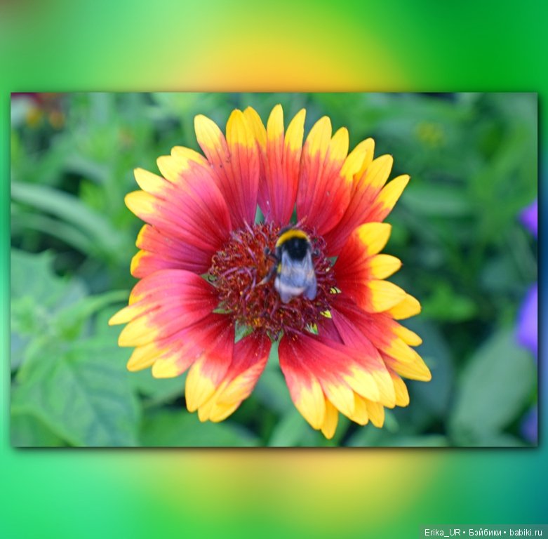 Сопутствующее куклам увлечение. 19.07.2019 (фото 7)