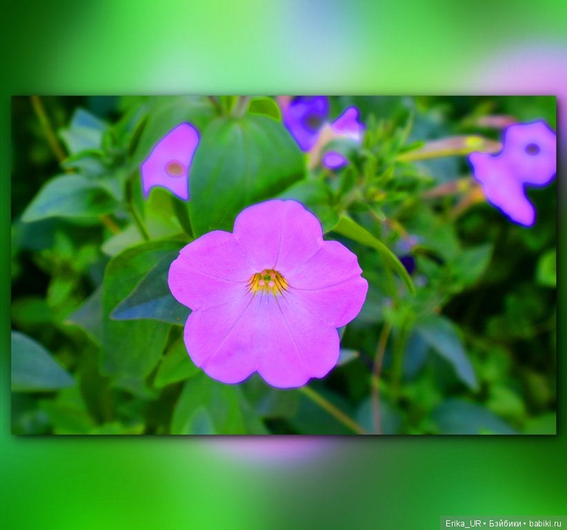 Сопутствующее куклам увлечение. 19.07.2019