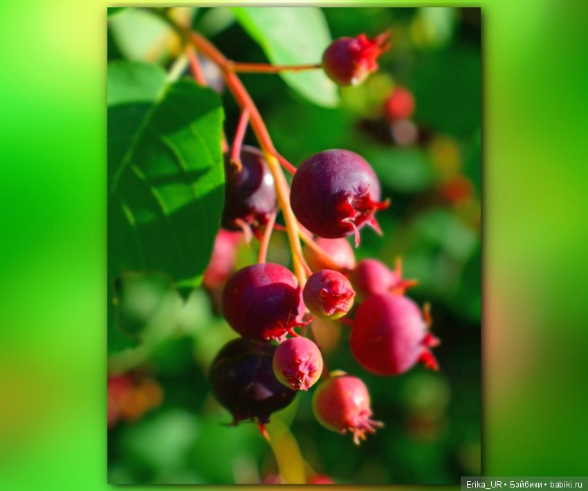 Сопутствующее куклам увлечение. 19.07.2019