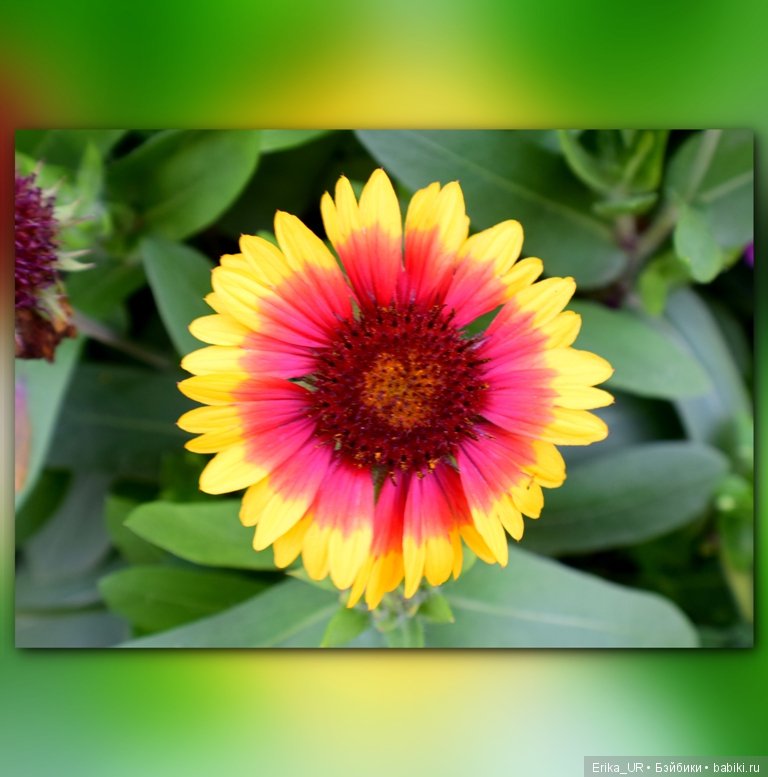 Сопутствующее куклам увлечение. 19.07.2019