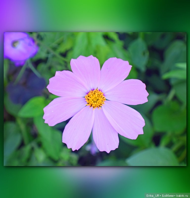 Сопутствующее куклам увлечение. 19.07.2019