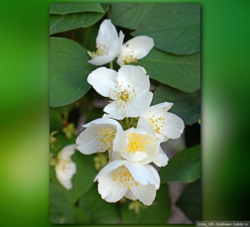 Сопутствующее куклам увлечение. 19.07.2019