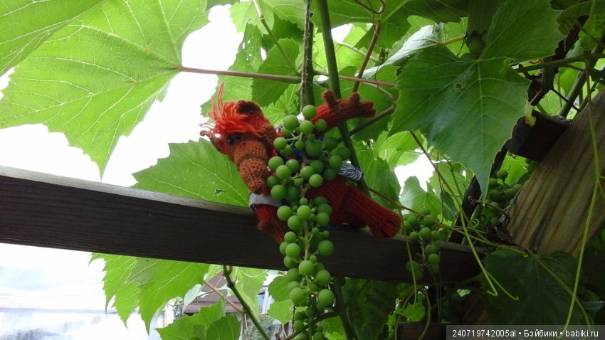 Путешествие Альфа по планетам цветов