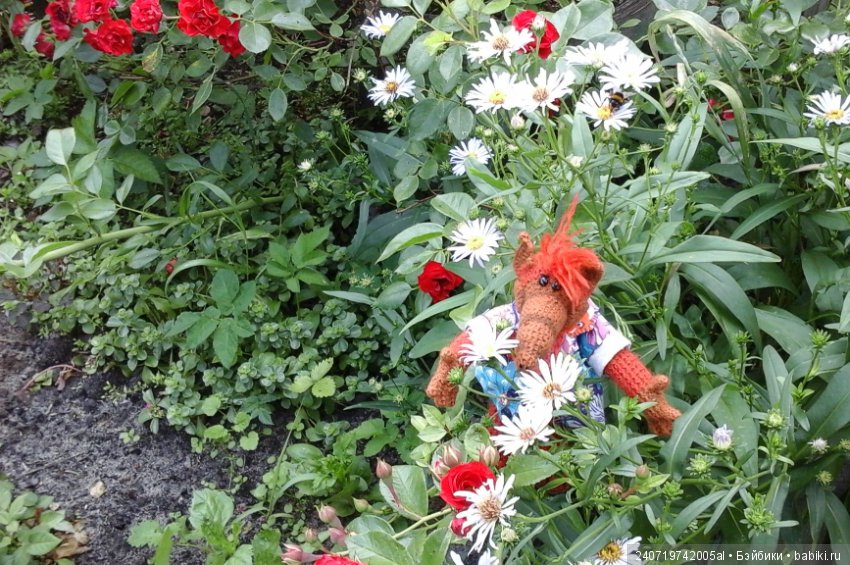 Путешествие Альфа по планетам цветов