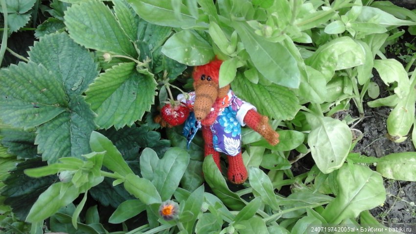 Путешествие Альфа по планетам цветов