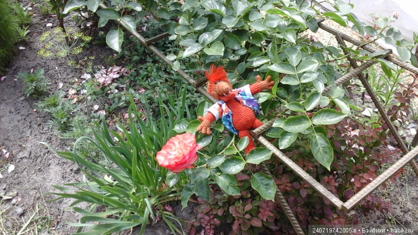 Путешествие Альфа по планетам цветов