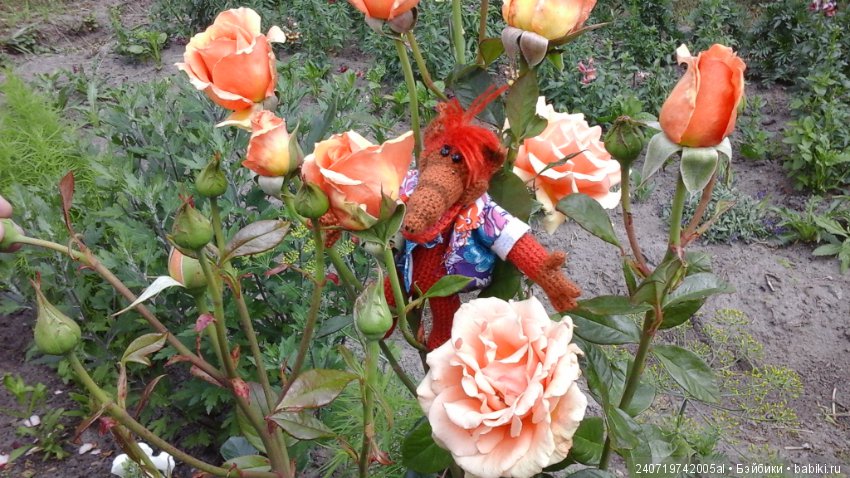 Путешествие Альфа по планетам цветов