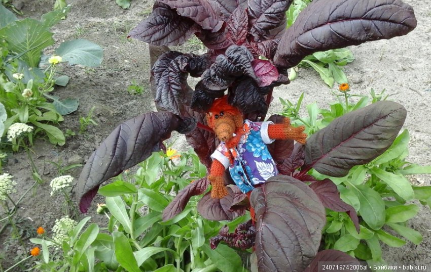 Путешествие Альфа по планетам цветов