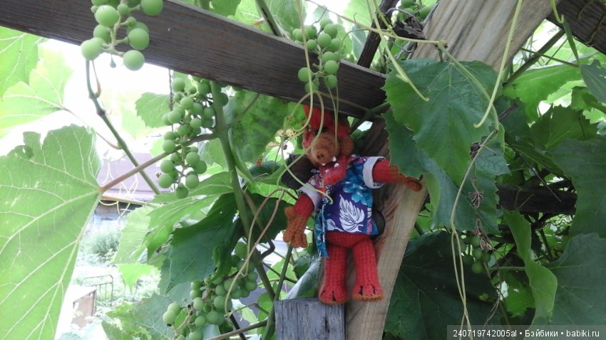 Путешествие Альфа по планетам цветов