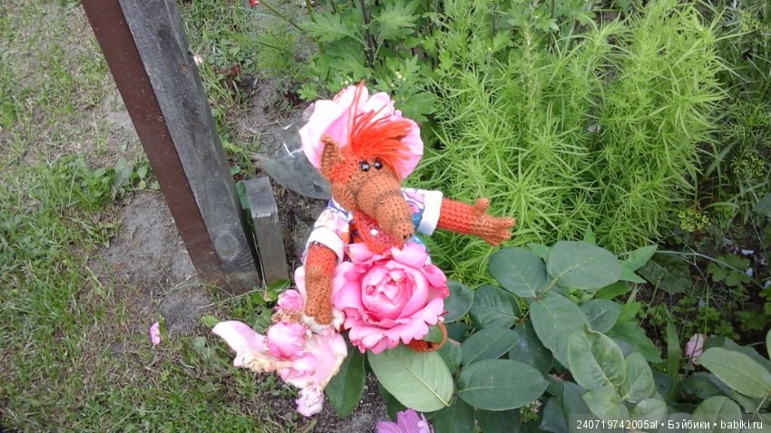 Путешествие Альфа по планетам цветов