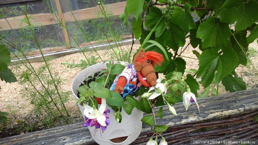 Путешествие Альфа по планетам цветов