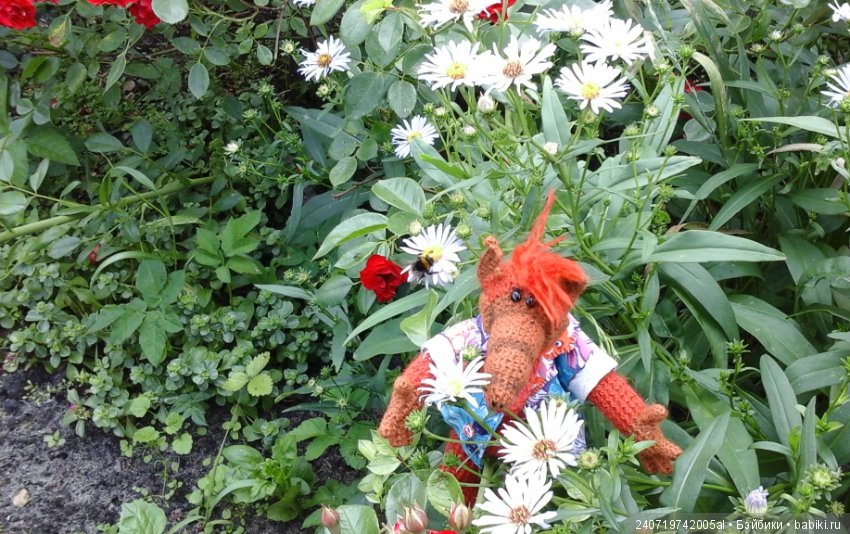 Путешествие Альфа по планетам цветов