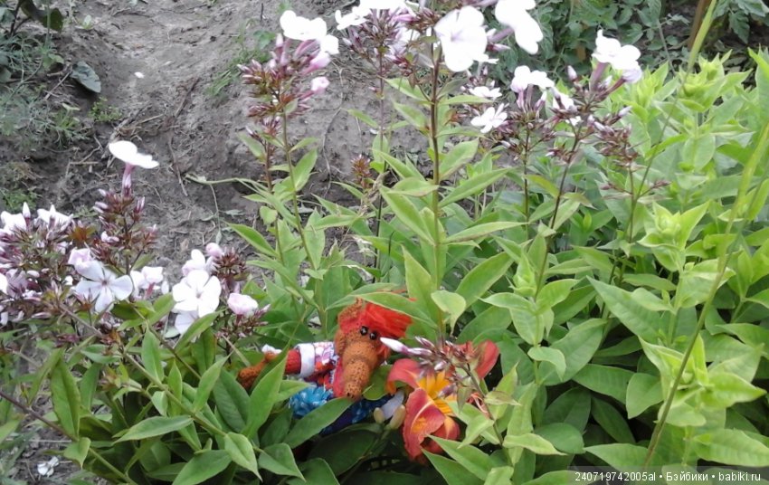 Путешествие Альфа по планетам цветов