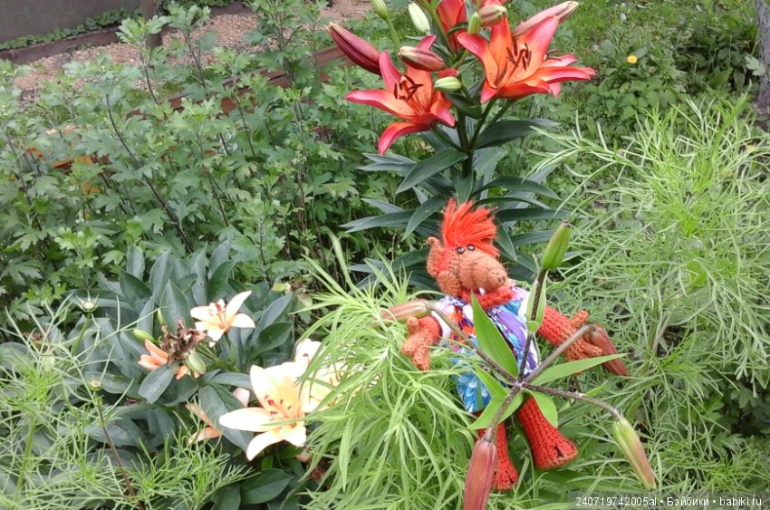 Путешествие Альфа по планетам цветов