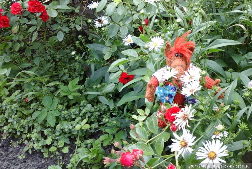 Путешествие Альфа по планетам цветов