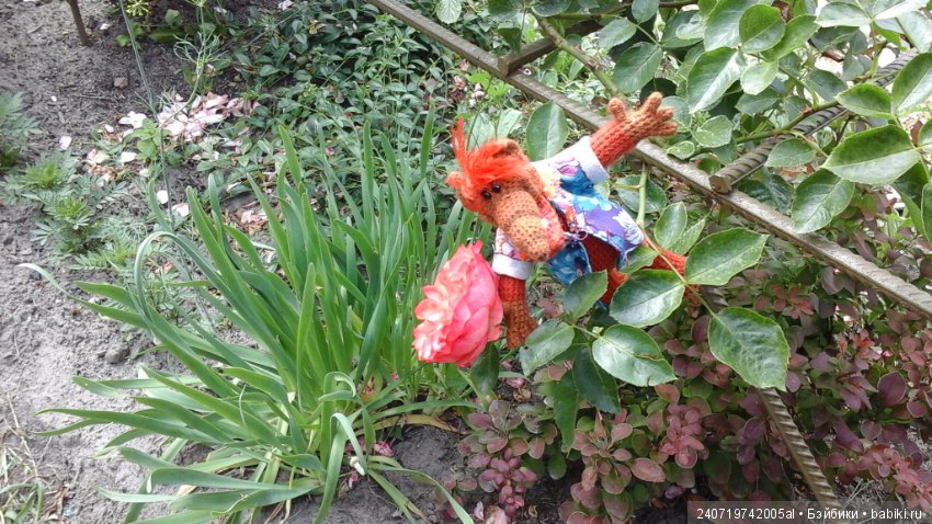 Путешествие Альфа по планетам цветов