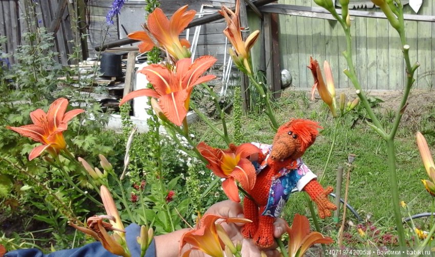 Путешествие Альфа по планетам цветов