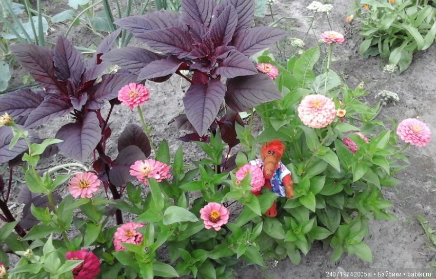 Путешествие Альфа по планетам цветов