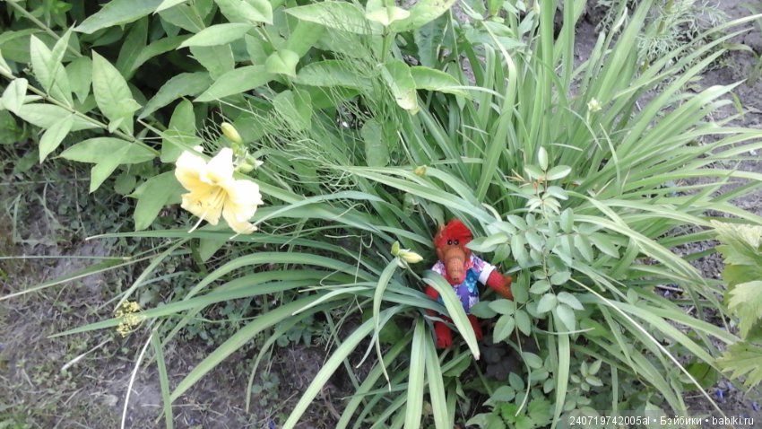 Путешествие Альфа по планетам цветов