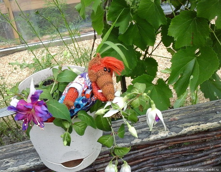 Путешествие Альфа по планетам цветов