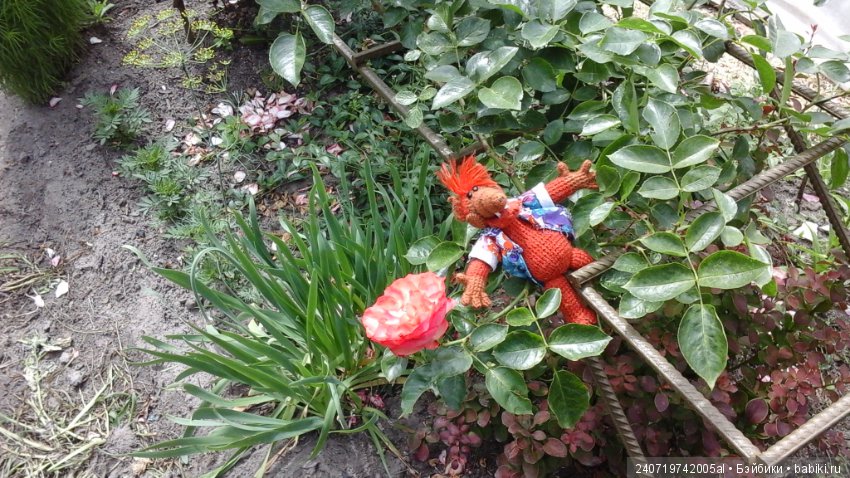 Путешествие Альфа по планетам цветов