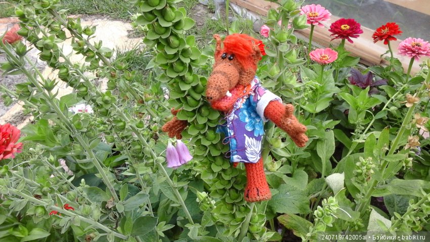 Путешествие Альфа по планетам цветов (фото 5)