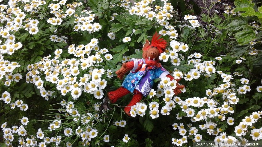 Путешествие Альфа по планетам цветов