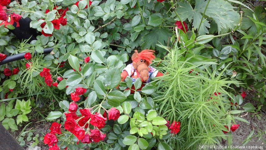 Путешествие Альфа по планетам цветов (фото 10)