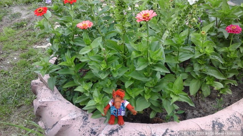 Путешествие Альфа по планетам цветов (фото 6)