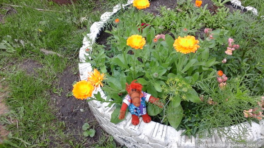 Путешествие Альфа по планетам цветов (фото 7)