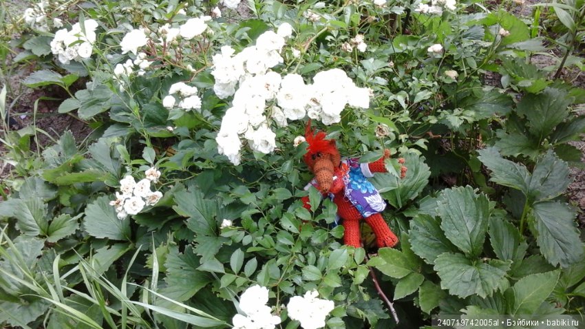 Путешествие Альфа по планетам цветов