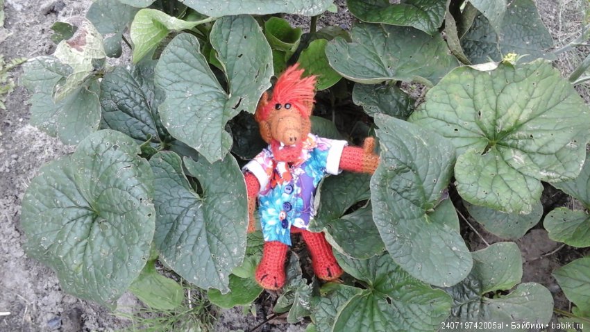 Путешествие Альфа по планетам цветов