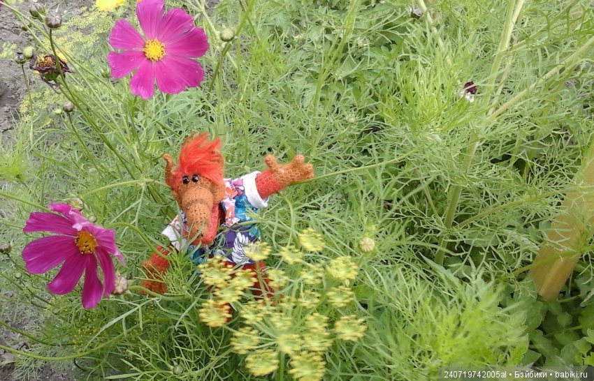 Путешествие Альфа по планетам цветов