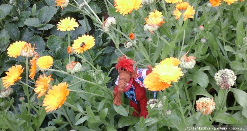 Путешествие Альфа по планетам цветов