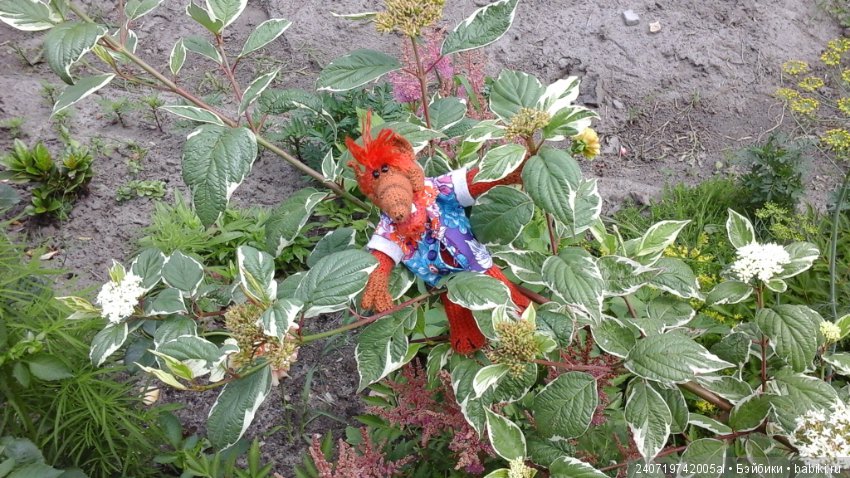 Путешествие Альфа по планетам цветов