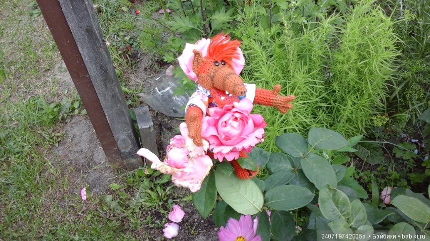 Путешествие Альфа по планетам цветов