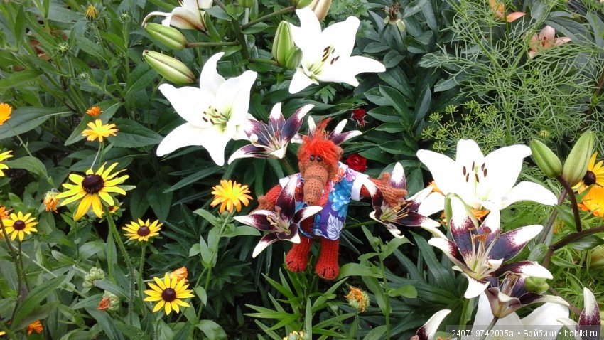 Путешествие Альфа по планетам цветов