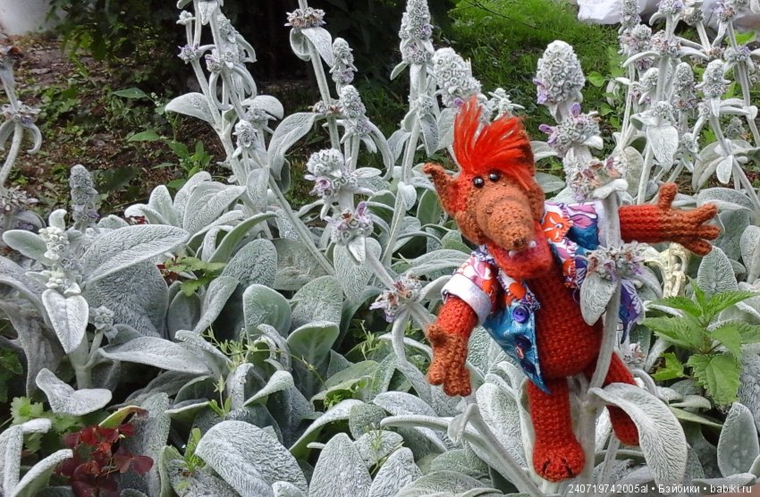 Путешествие Альфа по планетам цветов