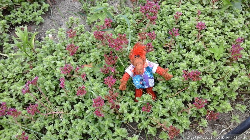 Путешествие Альфа по планетам цветов