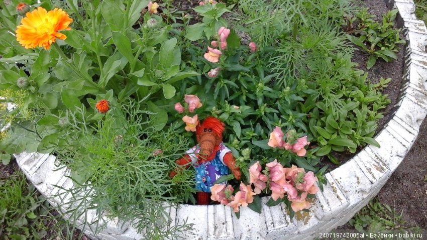 Путешествие Альфа по планетам цветов (фото 8)