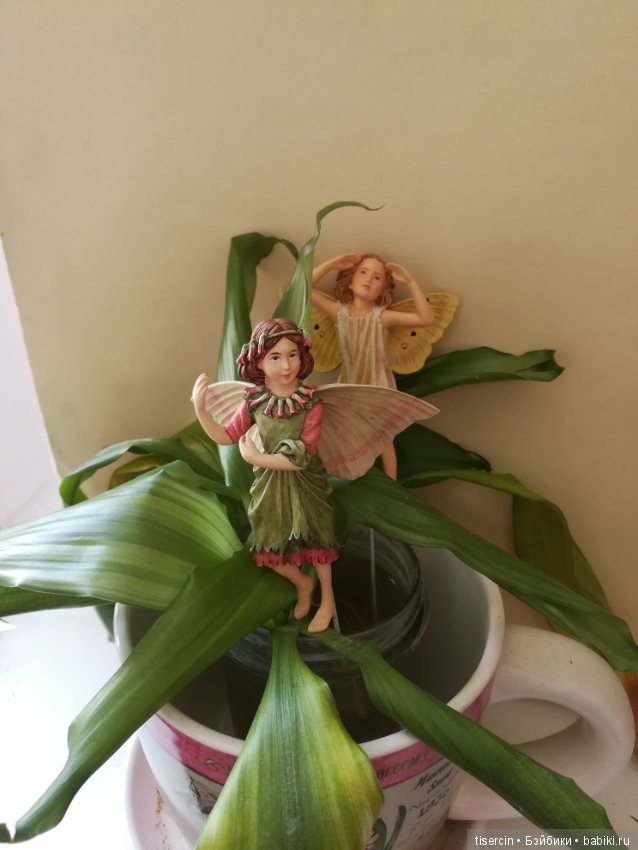 Атака на Москву волшебных фей Сесиль Мэри Баркер состоялась (фото 6)