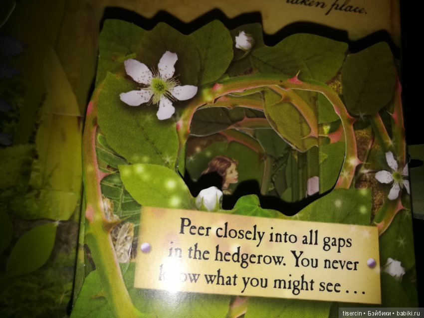 Атака на Москву волшебных фей Сесиль Мэри Баркер состоялась