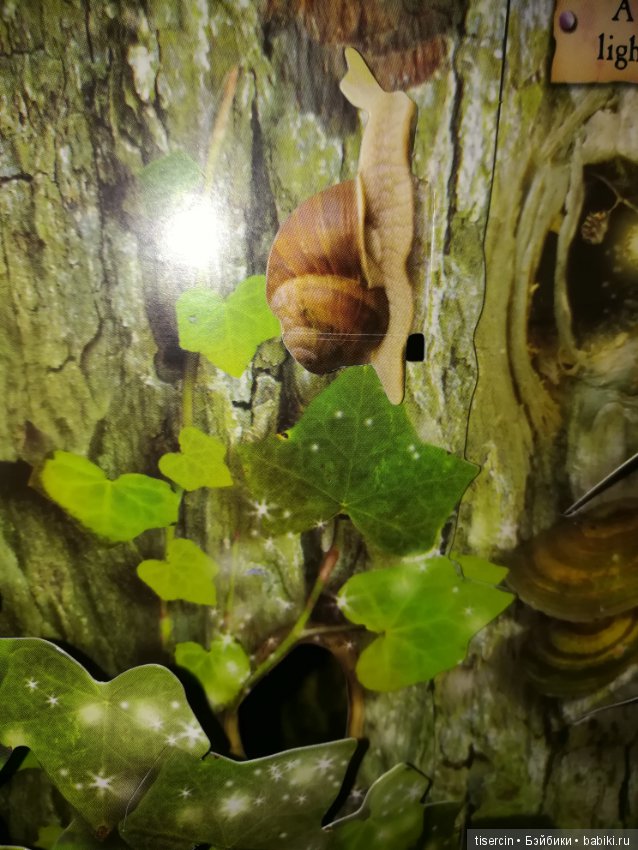 Атака на Москву волшебных фей Сесиль Мэри Баркер состоялась