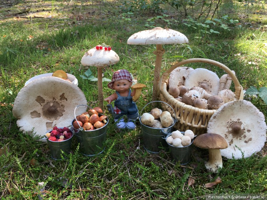 Данька побил собственный рекорд по сбору грибов