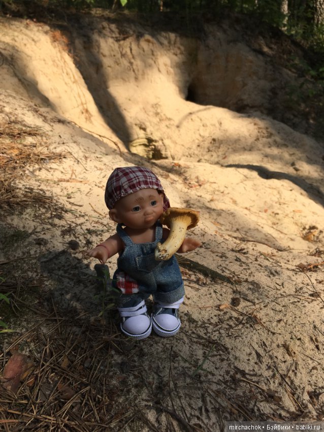 Данька побил собственный рекорд по сбору грибов