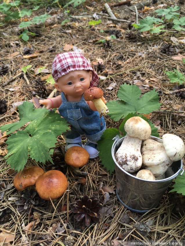 Данька побил собственный рекорд по сбору грибов